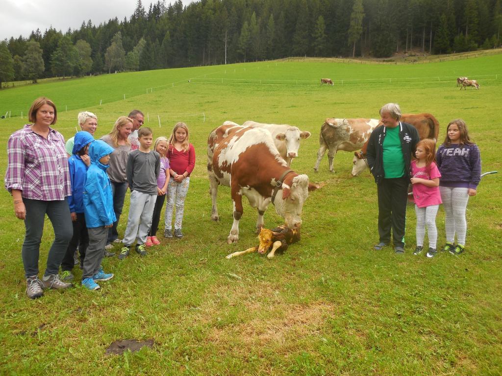 Hansalagut Mauterndorf  Exterior foto